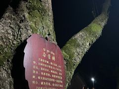 -莫干山风景区