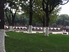 -昆山城市生态森林公园