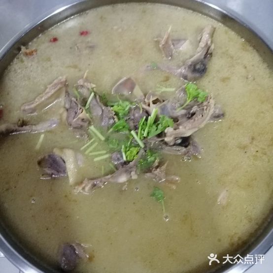 九州鸽子王