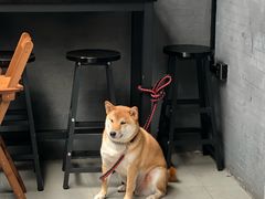 -柚下次·关东煮
