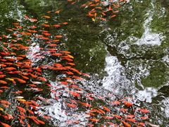 -水磨沟公园