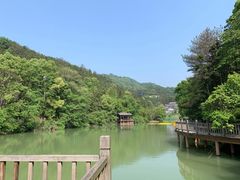 -洪崖丹井