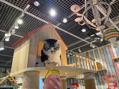 -小时光咖啡馆(开森度假森林店)