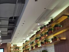 -翠華餐廳(浦东机场T1店)
