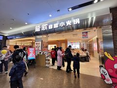 -龍歌自助小火锅(市南金茂湾店)