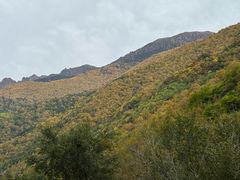 -小五台金河景区