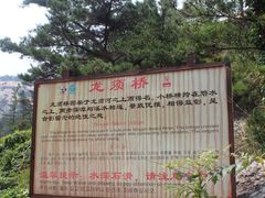 -九龙池景区