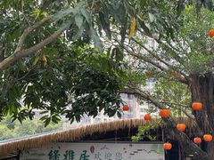 -绿雅居原生态农庄(小涌店)