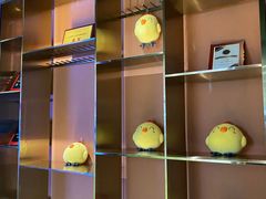 -椰小鸡·琼州糟粕醋·火锅(美兰缤纷城店)