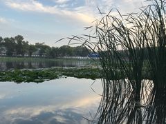 -长春市南湖公园