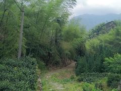 -仙霞关景区