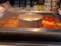 -二荆条·蜀鲜汇城市森林火锅