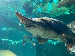 -华夏文旅海洋公园