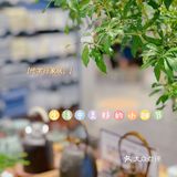 北京探店|藏在家居店里的醉好吃蛋挞~💕
