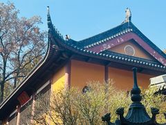 -灵谷景区