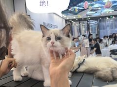 -万达广场(大明宫店)