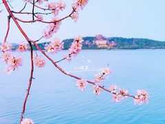 -颐和园