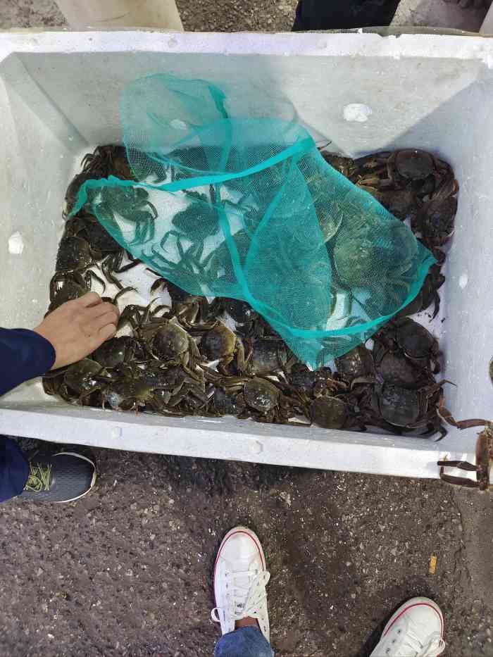 王四营海鲜市场-"总体就用四个字形容 经济实惠 但是.