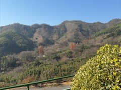 -东天目山风景区