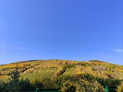 -塞罕坝国家级自然保护区