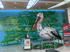 -同里国家湿地公园