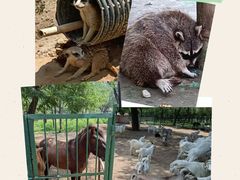 -秦皇岛野生动物园