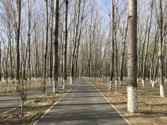 -东郊湿地公园