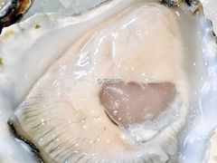 -Oyster Talks 四度蚝法餐厅