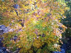 -帽儿山国家森林公园