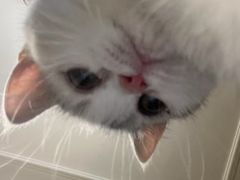 -哈尔滨北方森林动物园