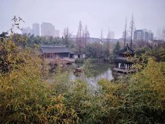 -水绘园