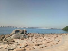 -宝安西湾红树林湿地公园