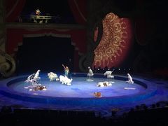 -珠海横琴长隆《卡卡虎奇遇记》