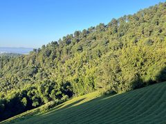 -敬亭山风景名胜区