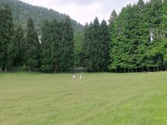 -武陵山森林公园