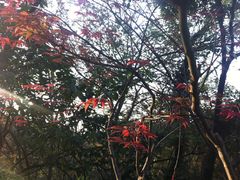 -南京市江宁方山
