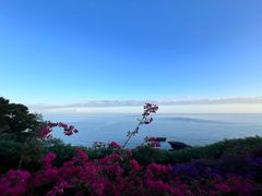 -涠洲岛火山国家地质公园
