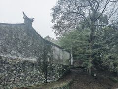 -桑洲油菜花景区