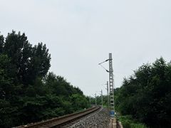 -永定河休闲森林公园