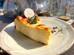 巴斯克芝士蛋糕-花小醉露营烤肉·下午茶餐吧(熙南里店)