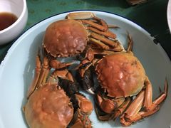 -喜洋洋蟹庄(阳澄湖店)
