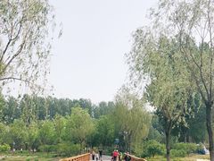 -东郊湿地公园