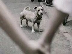 -拾下卜卜贝•海鲜火锅