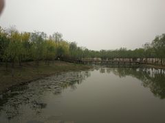 -东郊湿地公园