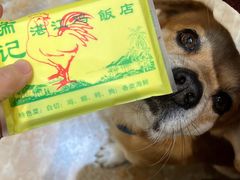 -瑞记湛江鸡饭店·粤西第一鸡(粤垦店)