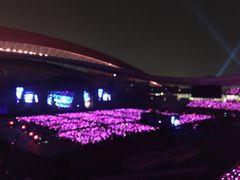 -南京奥林匹克体育中心-体育馆