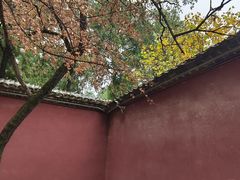 -永乐宫