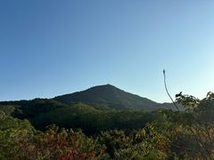 -黄埔油麻山森林公园