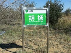 -亿利库布其七星湖沙漠生态旅游区