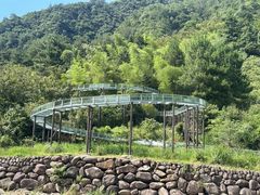 -龙井峡漂流